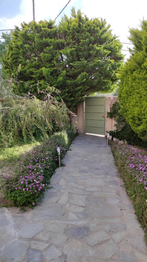 Villa Katerina Ialysos (Rhodes) Exterior foto